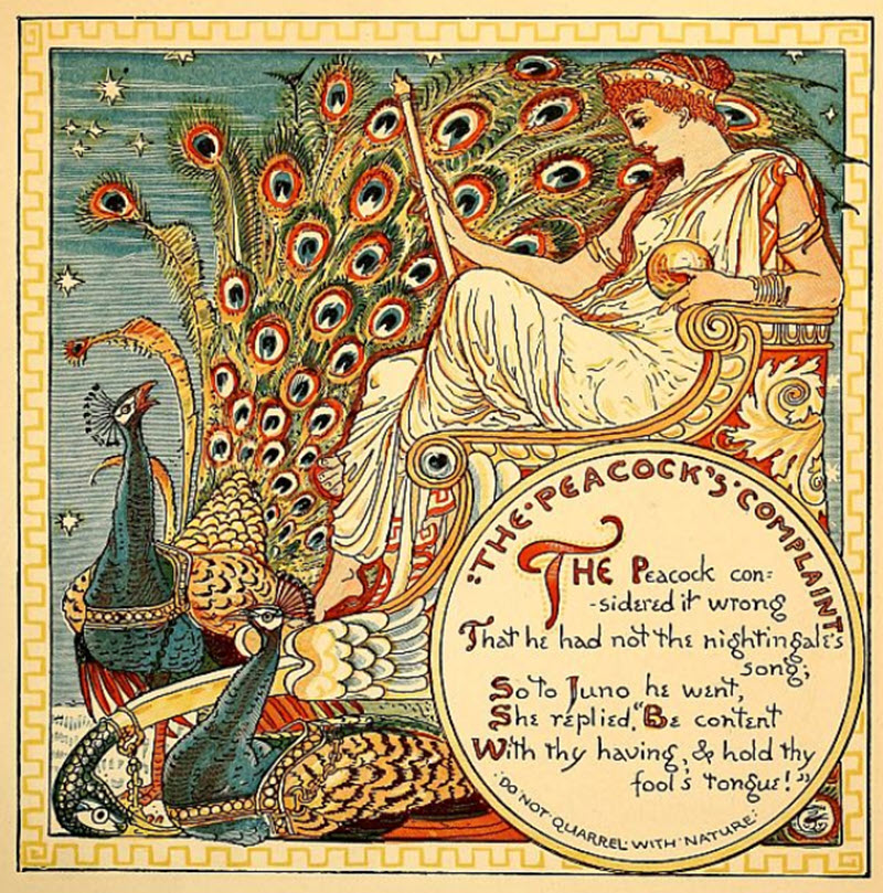 The Peacock's Complaint